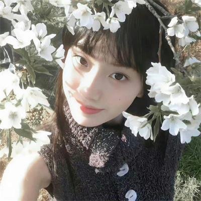 蛮荒的童话
